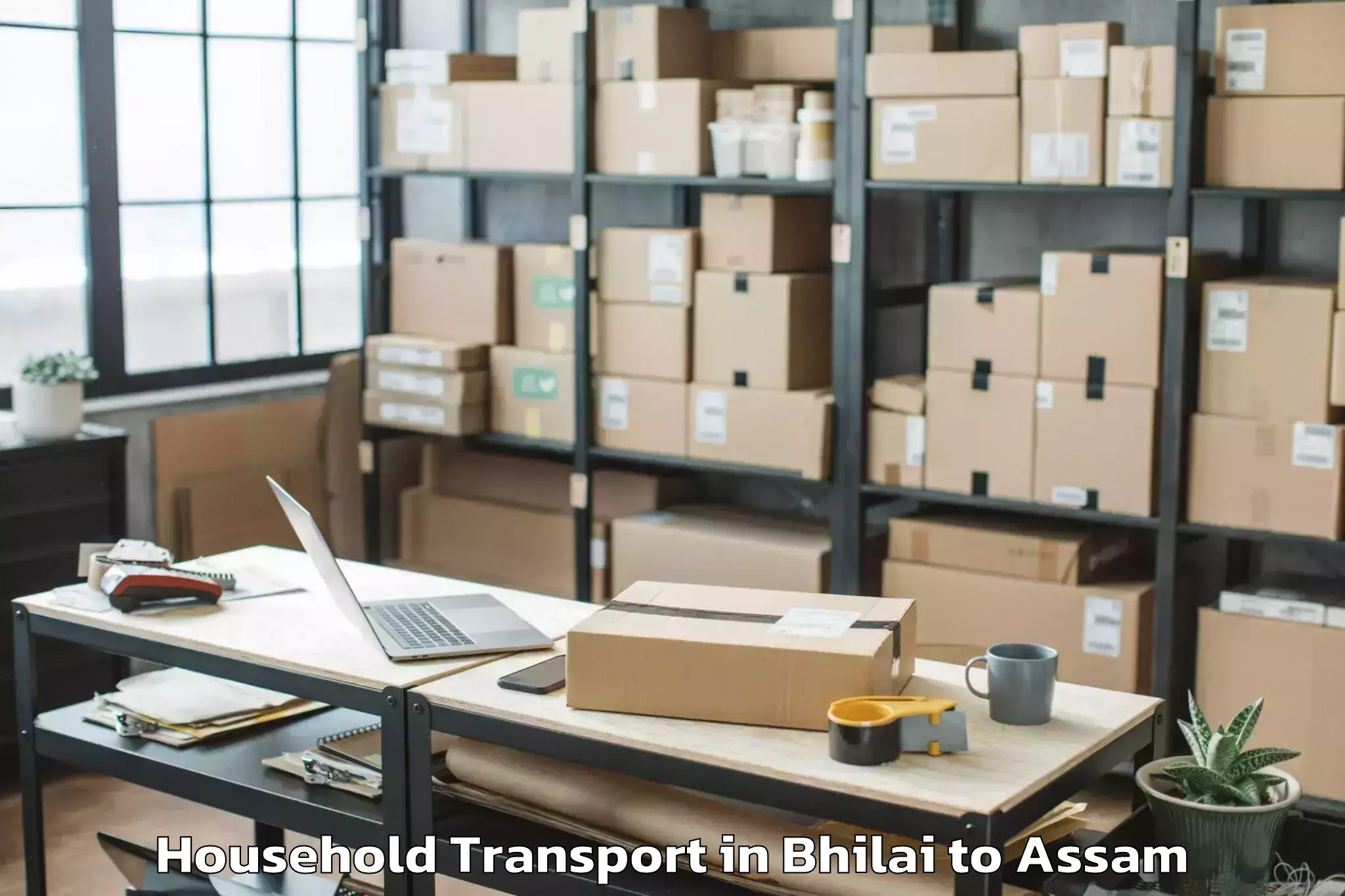 Expert Bhilai to Bajali Household Transport